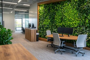现代办公室的绿植墙景观