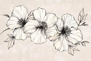 手绘三朵花卉线条插画