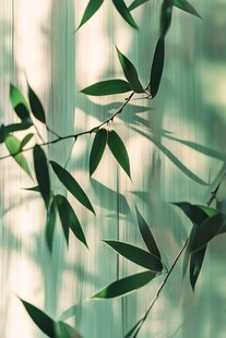 翠绿竹叶 光影下的静谧之美