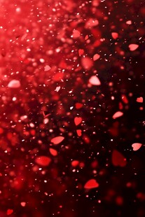 红色浪漫飘洒花瓣背景图