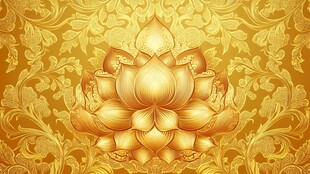 金色莲花华丽背景图案