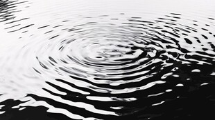 水面涟漪黑白艺术图景