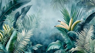 梦幻雨林中的热带植物景观