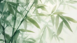 水墨风翠竹 清新自然意境