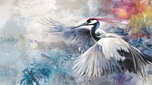 丹顶鹤展翅于梦幻色彩间