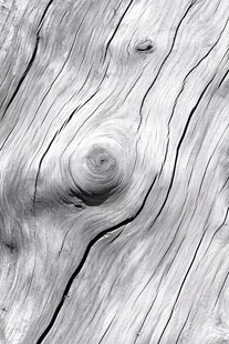 木纹特写 岁月雕刻的纹理