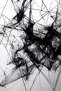 抽象线条交织的黑白艺术