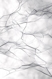 黑白线条抽象纹理背景