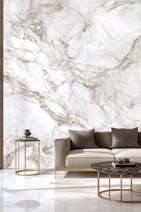 现代简约大理石客厅一角