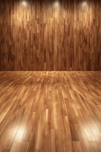 木质地板墙面室内空间图