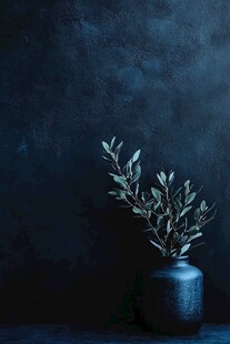 深色背景下的瓶中绿植