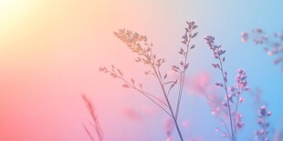 梦幻霞光中的清新花草
