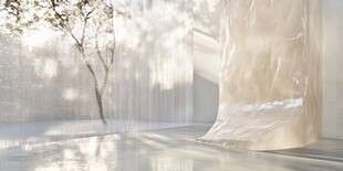 室内光影下的树与纱幔景观