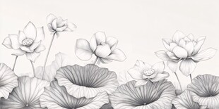 黑白素描荷花荷叶图