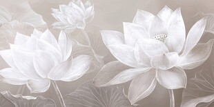 素雅白莲花艺术插画