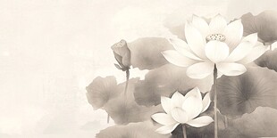 水墨荷花 淡雅中式意境