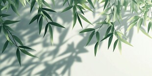 竹叶摇曳间的光影诗意