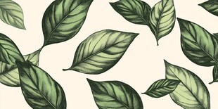 手绘绿叶图案背景纹理