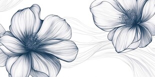 蓝白花卉线条插画图案