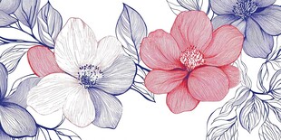 手绘花卉花边图案设计