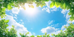 绿叶环绕下的晴朗蓝天