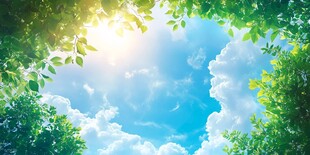 透过绿叶望晴朗天空