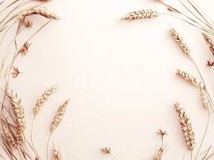 麦穗环绕的简约自然图景