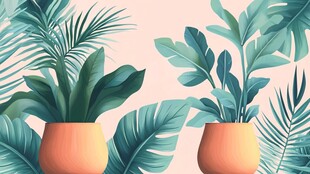 清新绿植盆栽装饰画