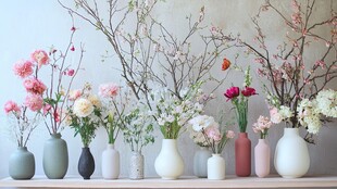 多彩花瓶中的缤纷花卉