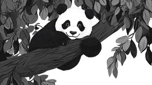 黑白熊猫惬意趴于树枝间