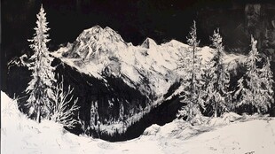 冬日雪山松林美景