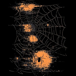 万圣节蛛网与蜘蛛插画