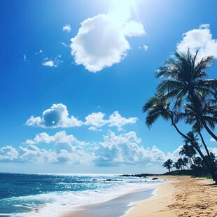 阳光沙滩 椰影摇曳的海滨风光