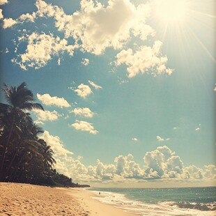 阳光沙滩海景椰树风光