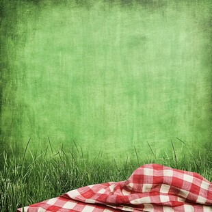 草地上的红白格子野餐布