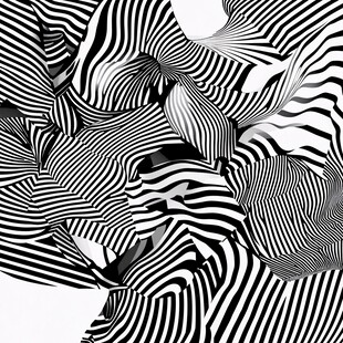 黑白条纹抽象艺术图案