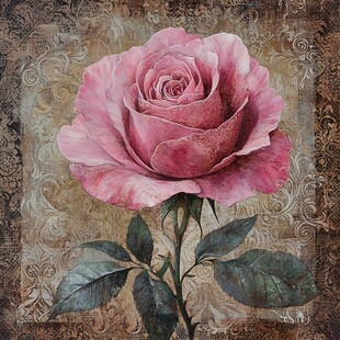 复古风粉色娇艳玫瑰花
