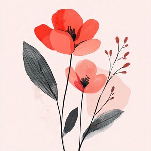 两朵红粉花卉插画