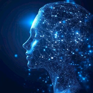 科技感人脑数字网络图像