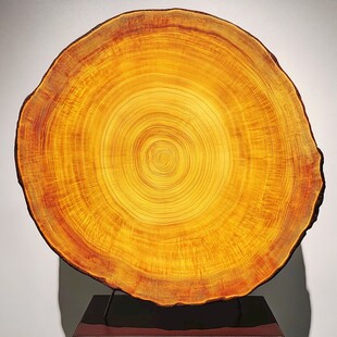 精美年轮木雕艺术展示