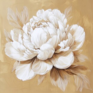 米色调优雅白牡丹花图