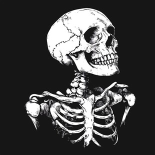 黑白骷髅骨架插画