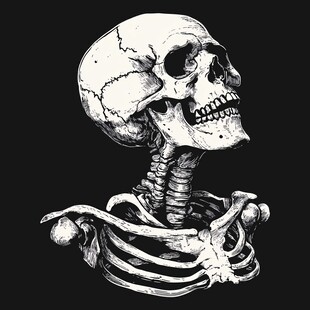 骷髅骨架黑白插画