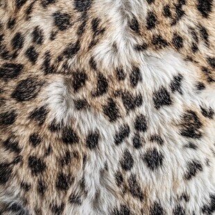 豹纹毛皮纹理特写