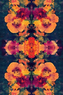 绚丽花卉对称图案艺术