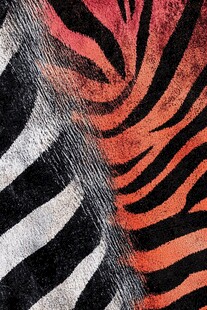 斑马与老虎纹路交织图案