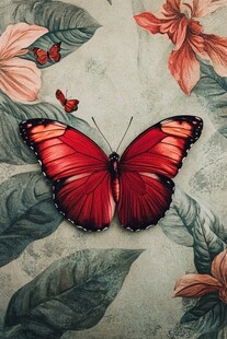 红蝶伴花的自然美妙图景