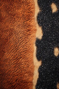 豹纹皮革纹理特写