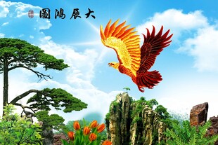 大展鸿图