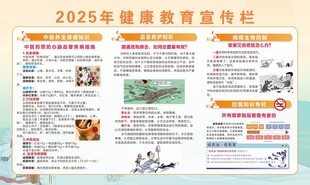 2025年健康教育宣传栏 
